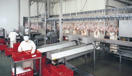 Giblet processing