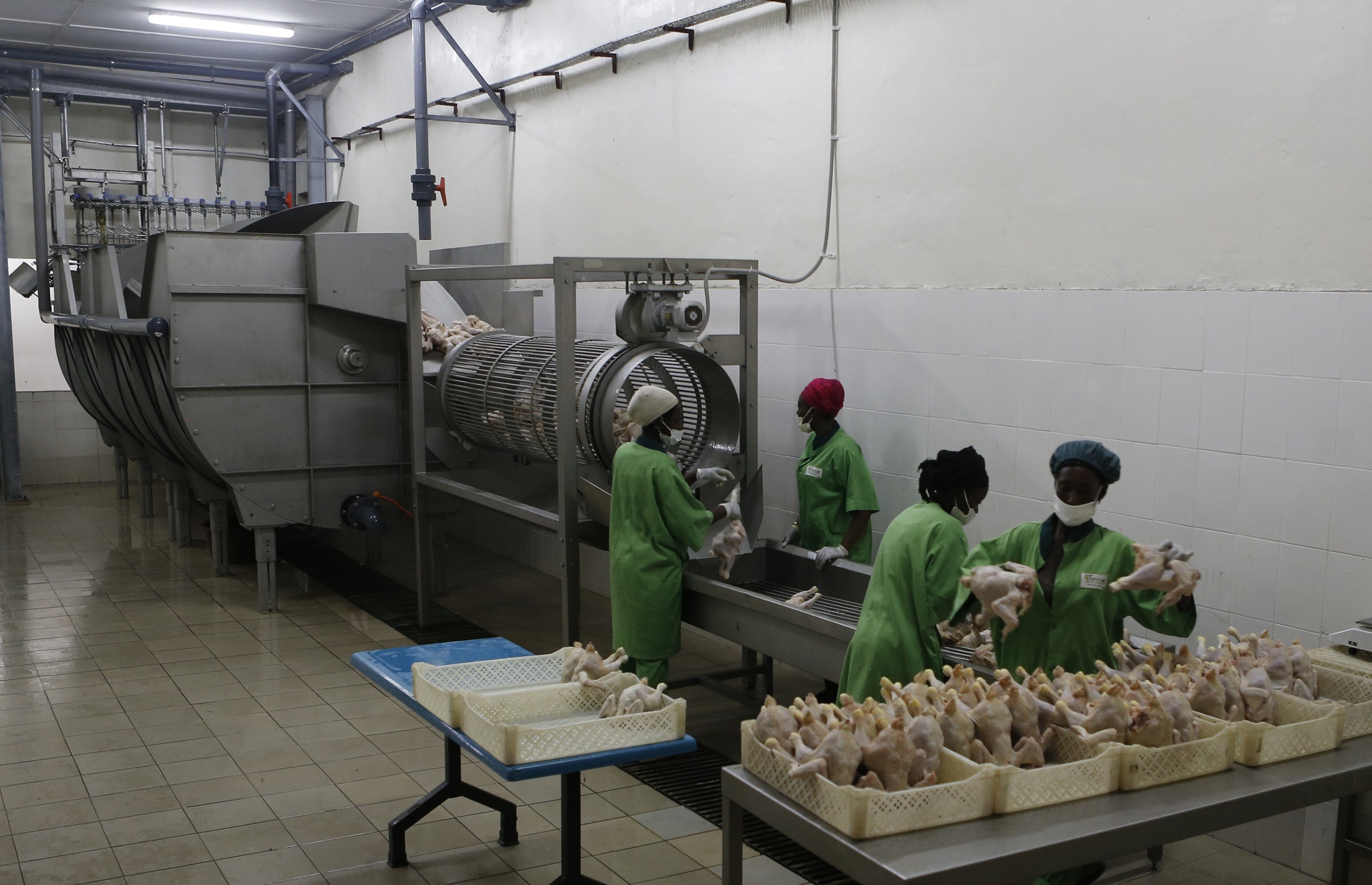 Empas Poultry Africa Gambia