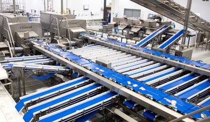 Primex Norway: The future of fish processing