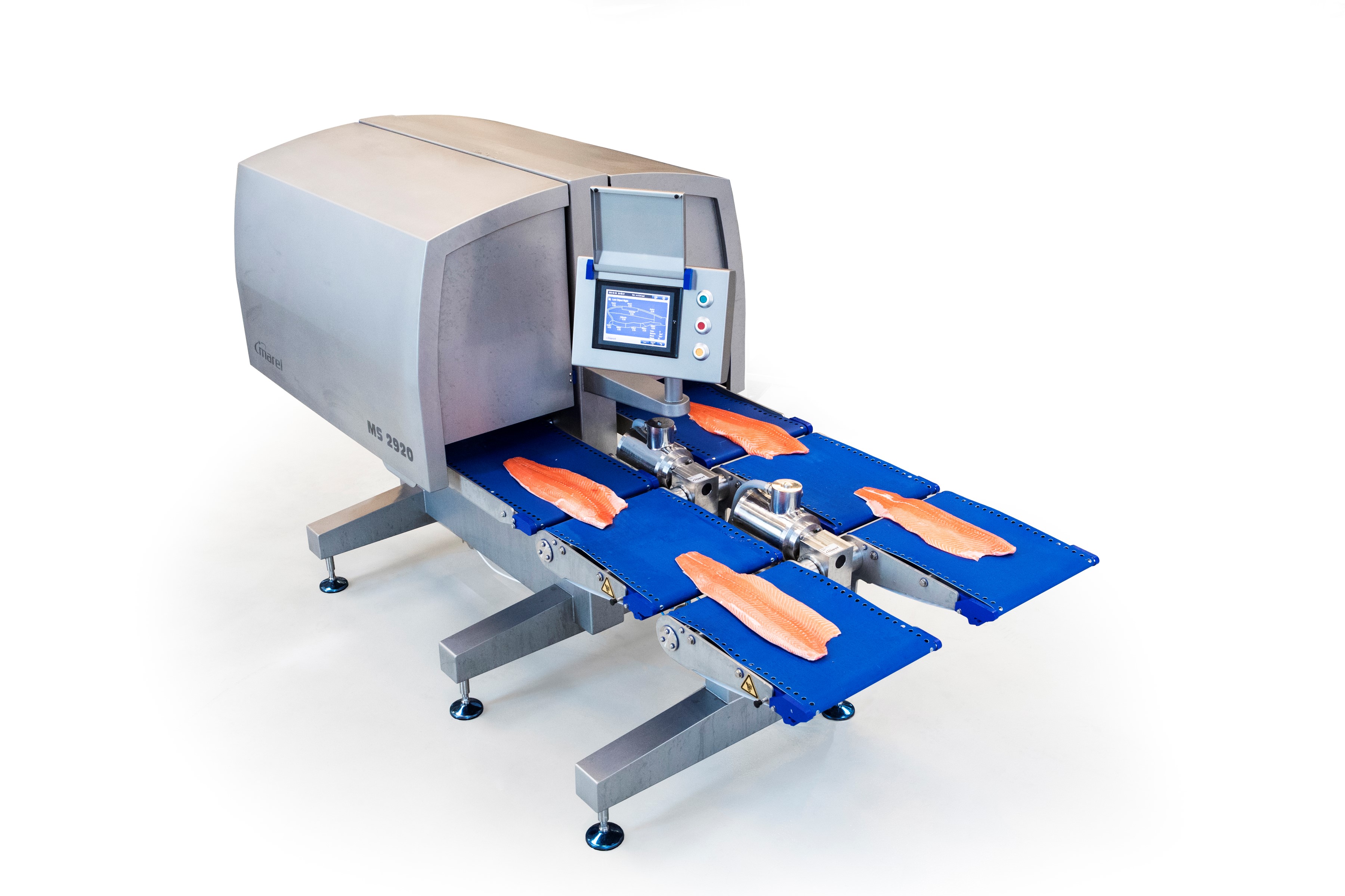  Quality scanning of salmon fillets