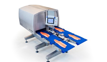 Quality scanning of salmon fillets