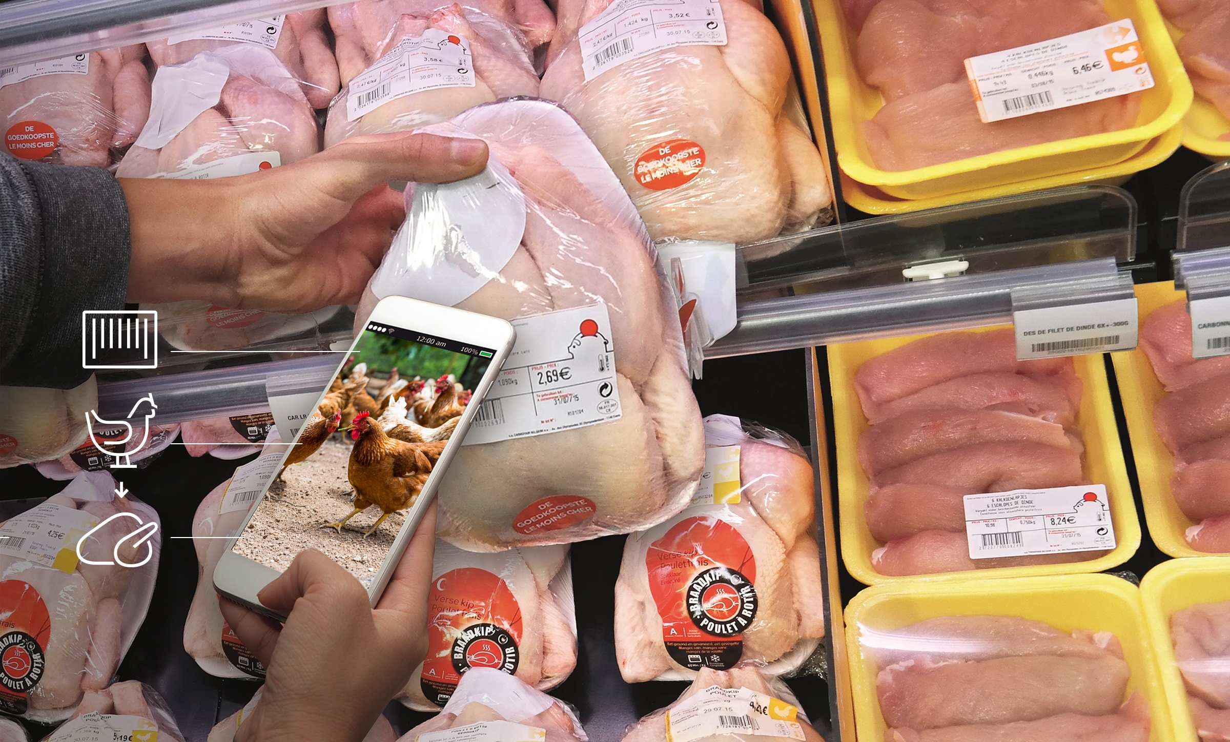 Traceability Supermarket Chicken