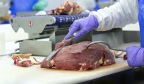 Cutting, deboning and trimming - Beef