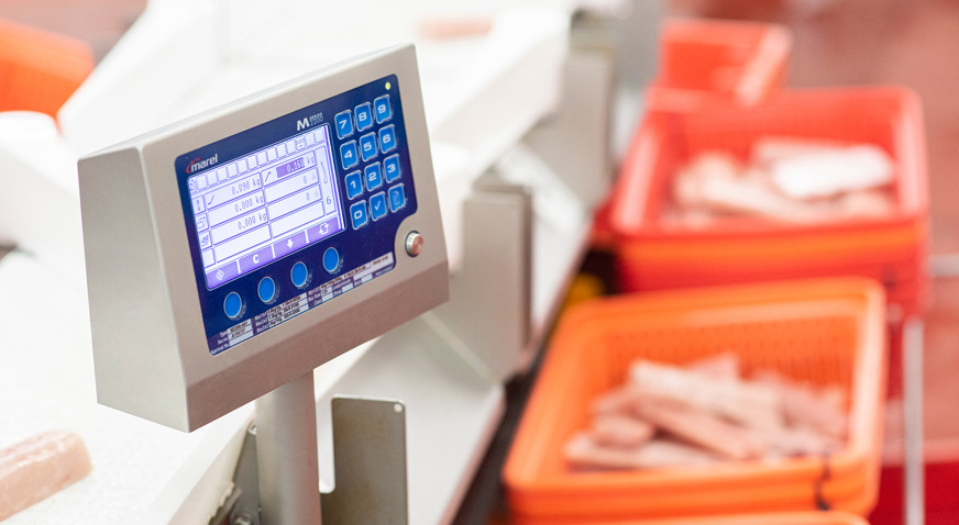 Weighing Fish