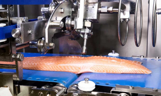 FleXicut Salmón