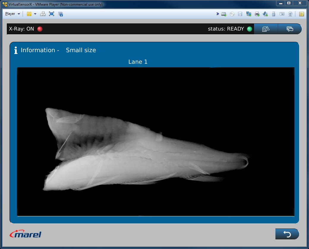 Sensorx Screen Bone Detection In White Fish