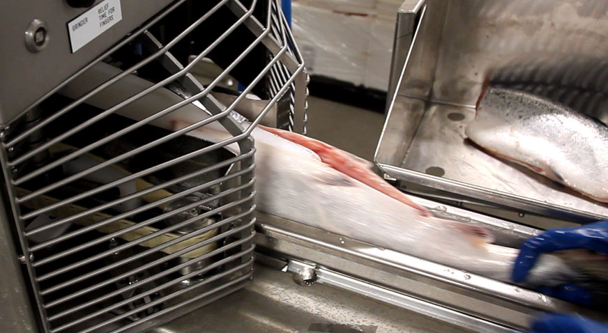 CT 2630 Filleting