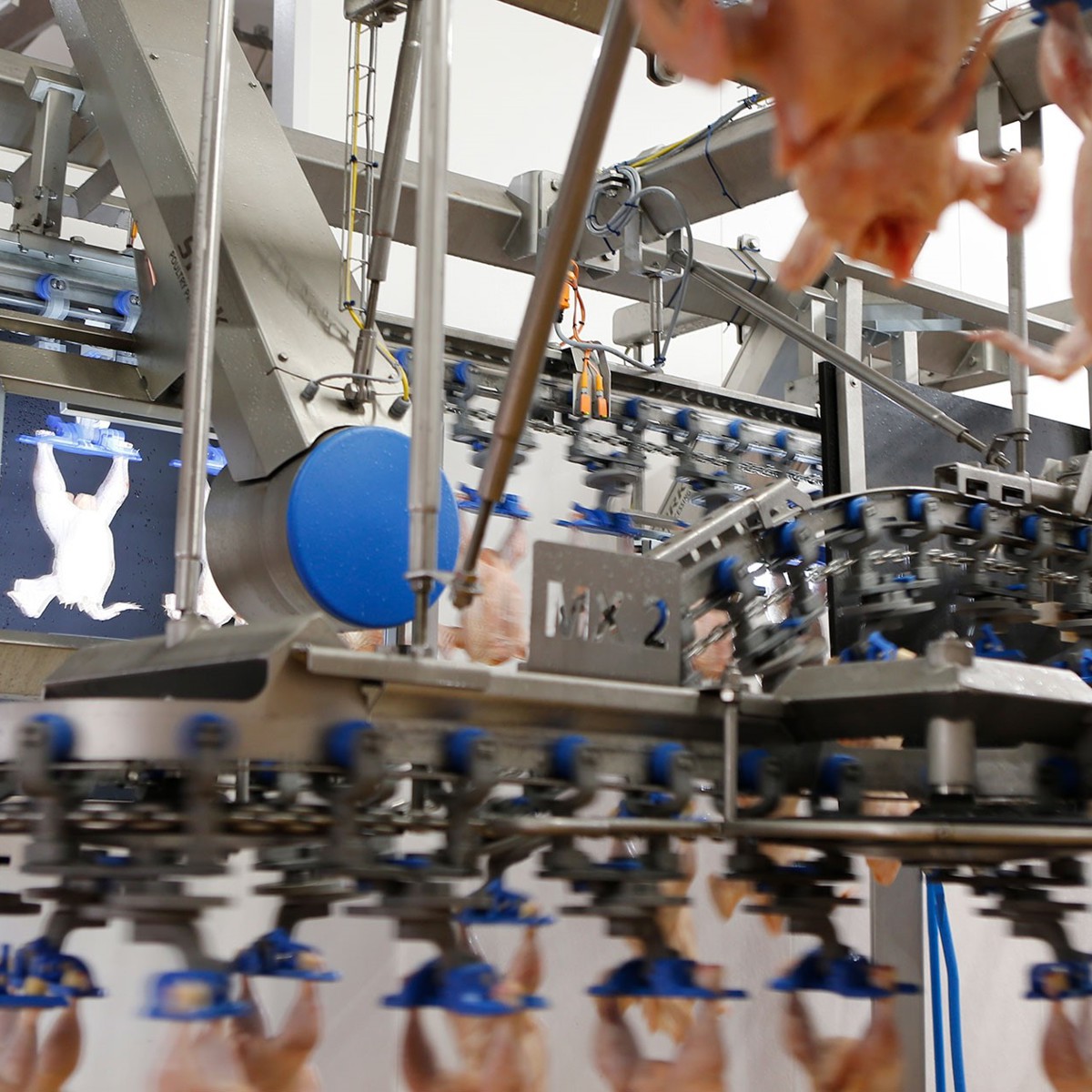 Marel combines cuttingedge technology with butchery skills Marel