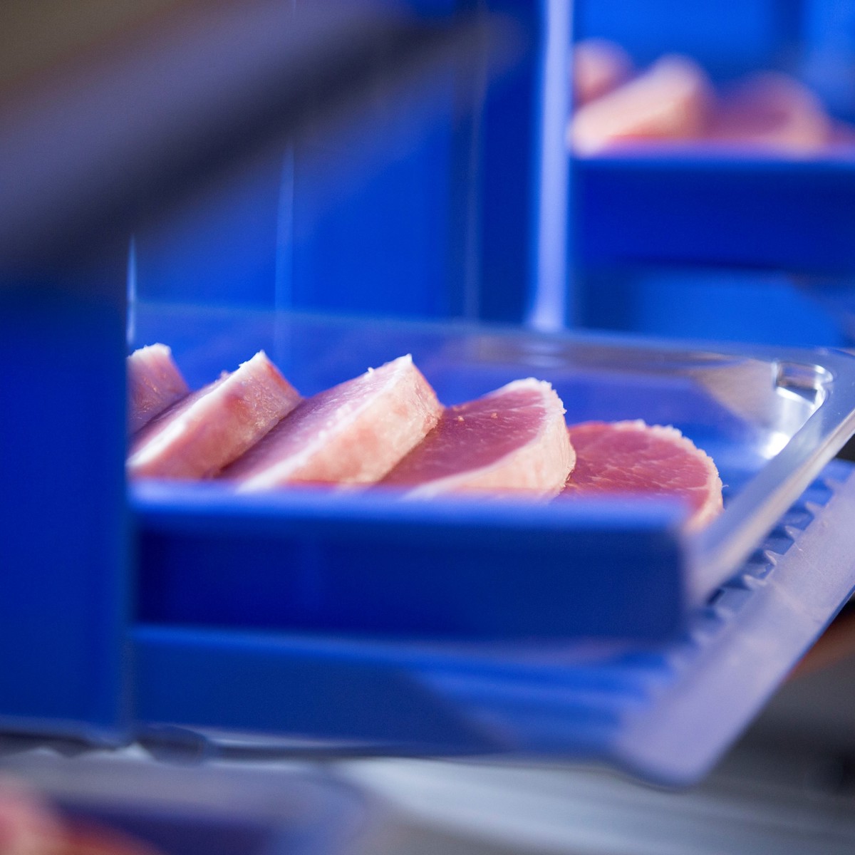 Pork Meat Packaging Equipment Marel