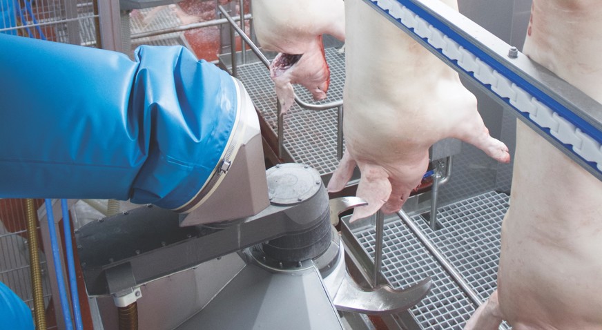 M-Line Neck Cutter (MNC) for pig processing line