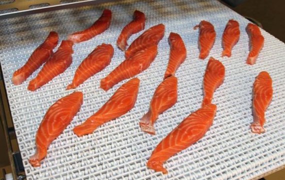 StripCutter salmon cutting