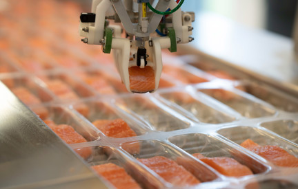 Robobatcher Thermoformer Portions