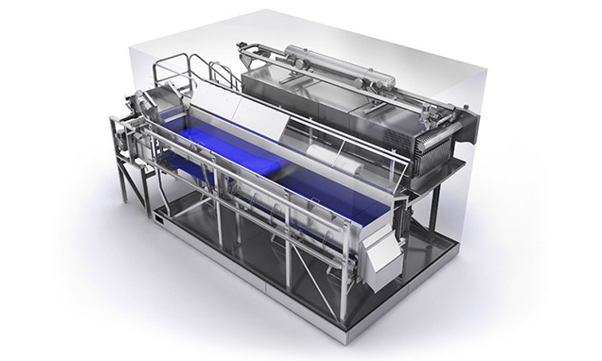 Canned Corn and IQF Frozen Vegetable Line Solutions