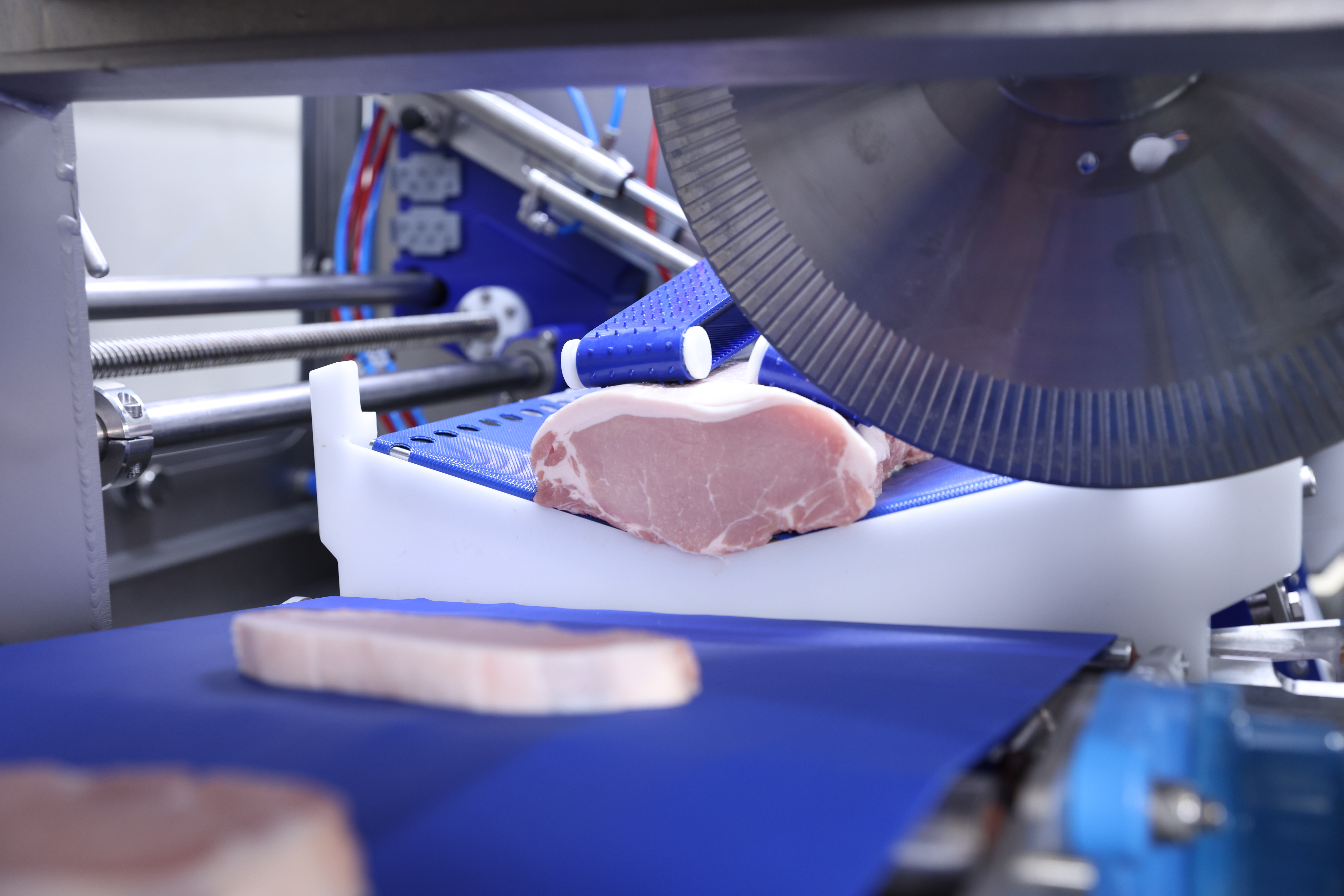 I-Cut 360: Versatile anatomic portion cutting without crust freezing