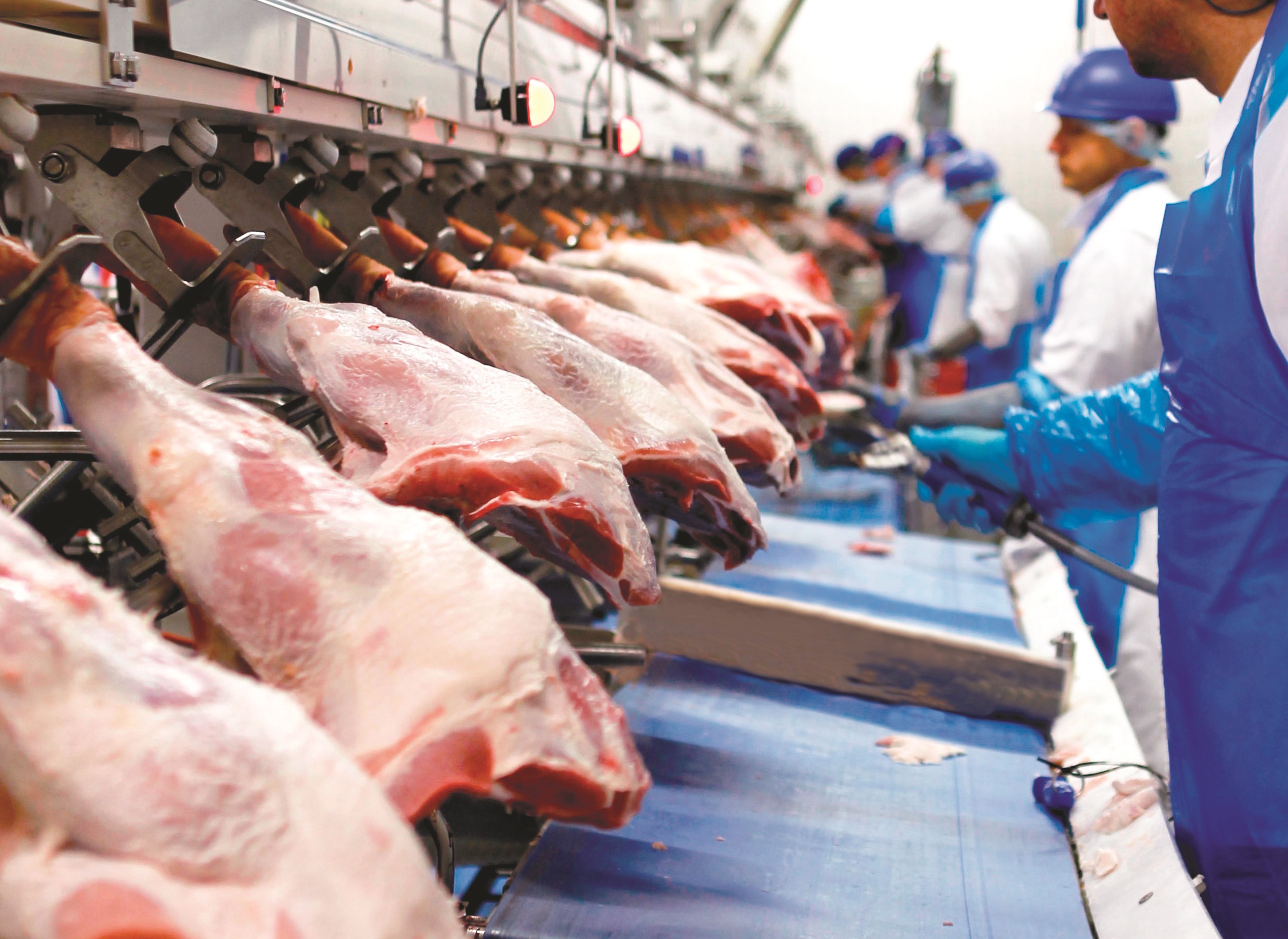 Um passo à frente no setor Brasileiro de carne suína