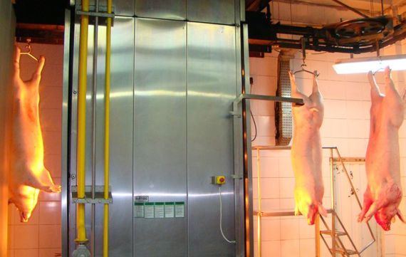 flaming furnace lightning washing and polishing in pork processing
