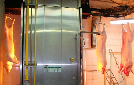 Flaming Furnace Lightning In Pork Processing