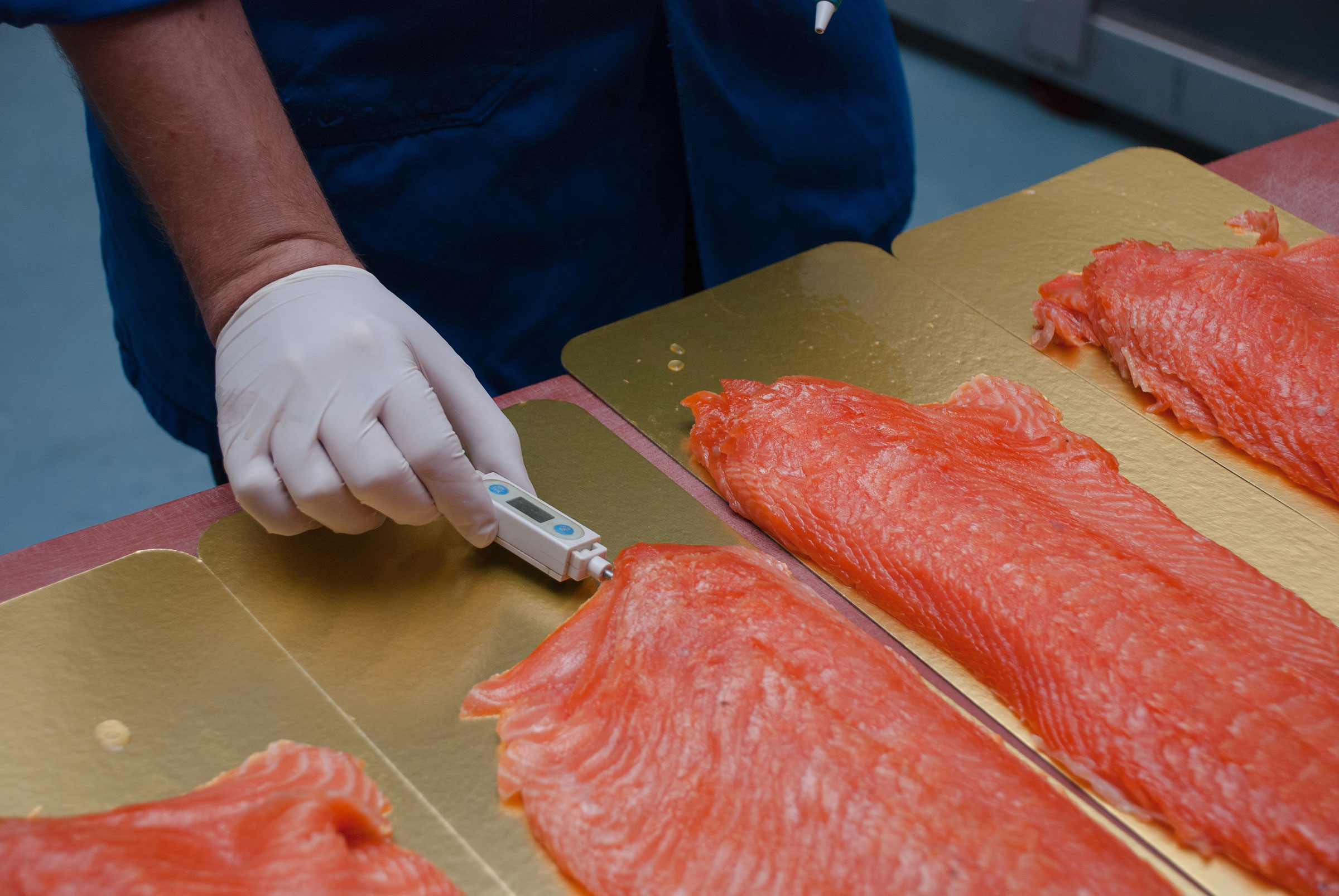 Take control of your smoked salmon production
