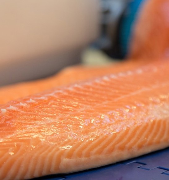 Filleting (1)