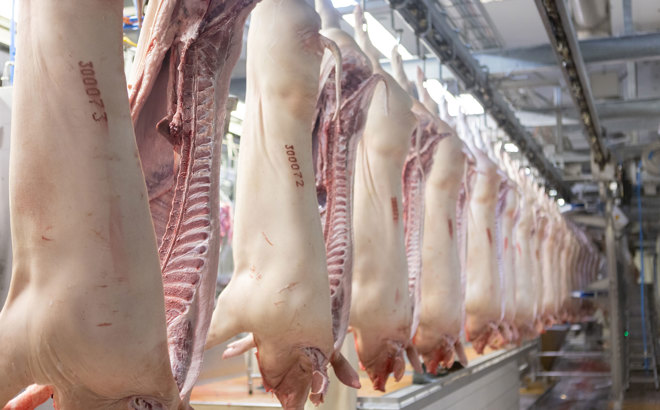 M Line Splitting Saw MSS TT