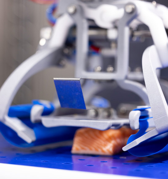 Robo Packer Salmon 2