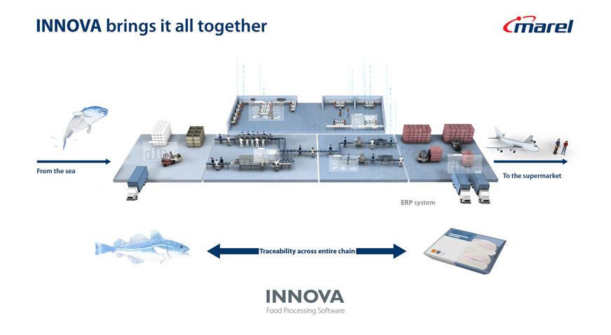 Innova Overview Fish