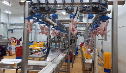 Moving from whole bird to cut-up chicken parts