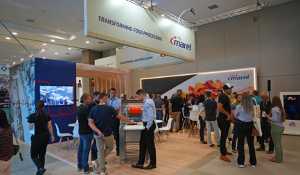 Advancements in fish processing automation: IFC & Fish Expo Brazil 2023