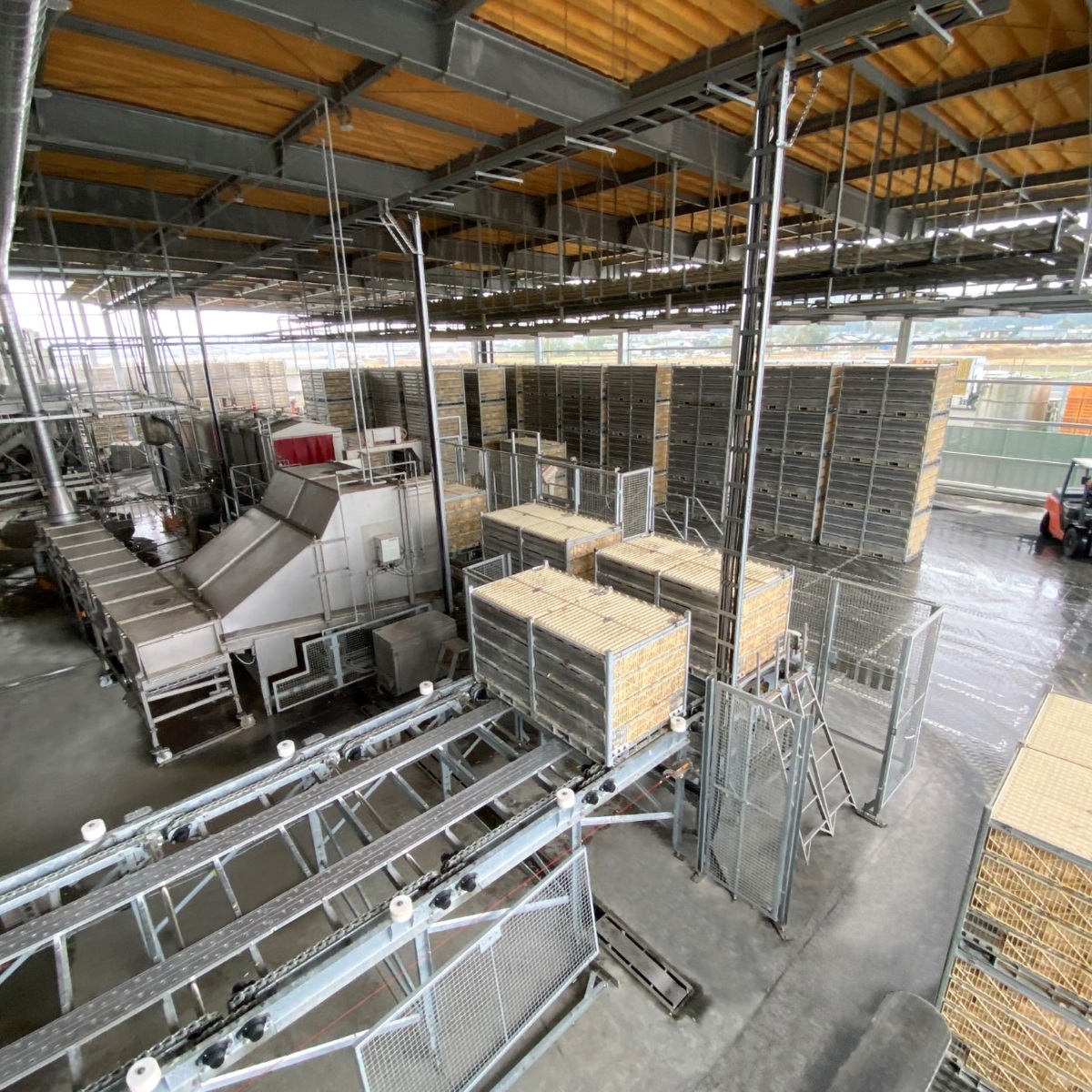 Japanischer Verarbeiter Miyazaki Sunfoods vertraut auf GP Marel