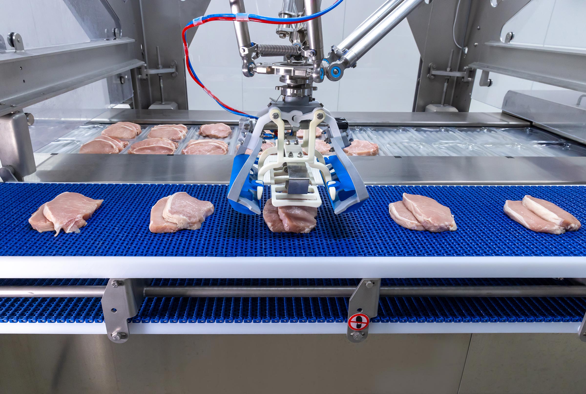 RoboBatcher robotic arm placing a sirloin steak into thermoformer pack with consistent and accurate alignment