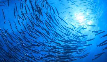 Results of the AGM 22 March 2023