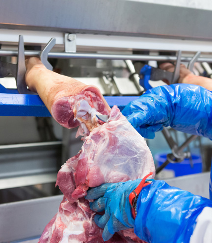 Deboflex Compaxo Anatomic Deboning