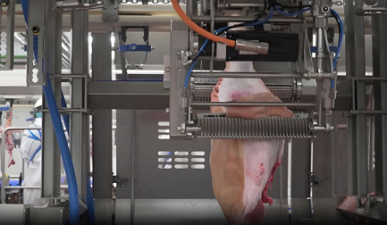 Transforme el proceso de descuerado de cerdo con la nueva DeboFlex Inline Skinner