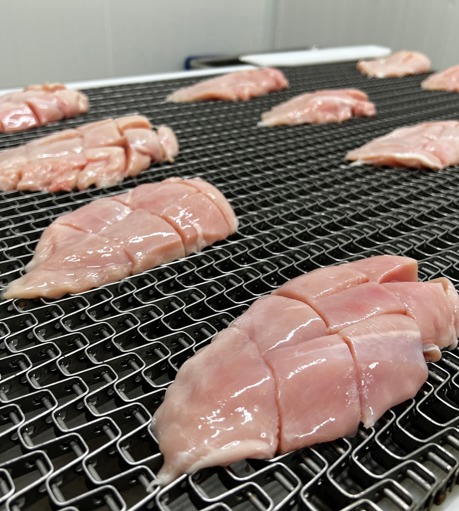 DSI Cubed Fillets On Belt