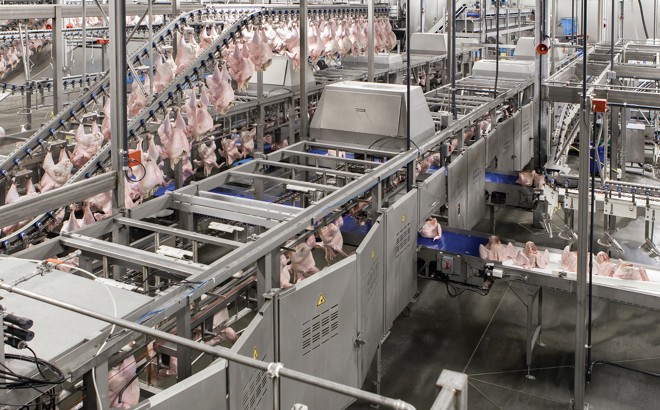 Turkey Processing Cut Up Line