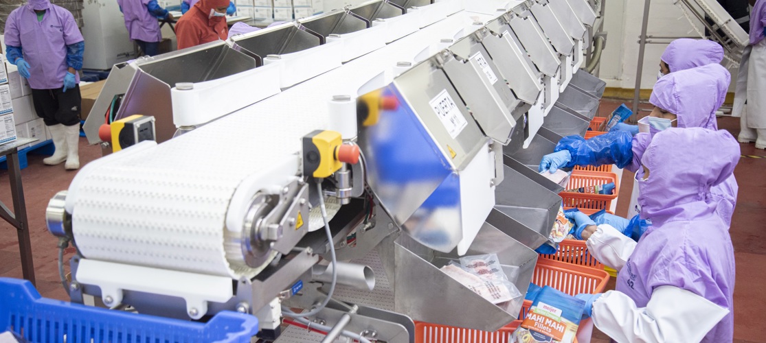 Coinrefri Workers Along Fish Processing Line (1)