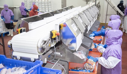 Coinrefri adds value to fish processing with Marel technology
