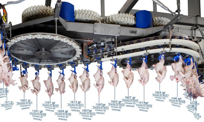 SmartWeigher