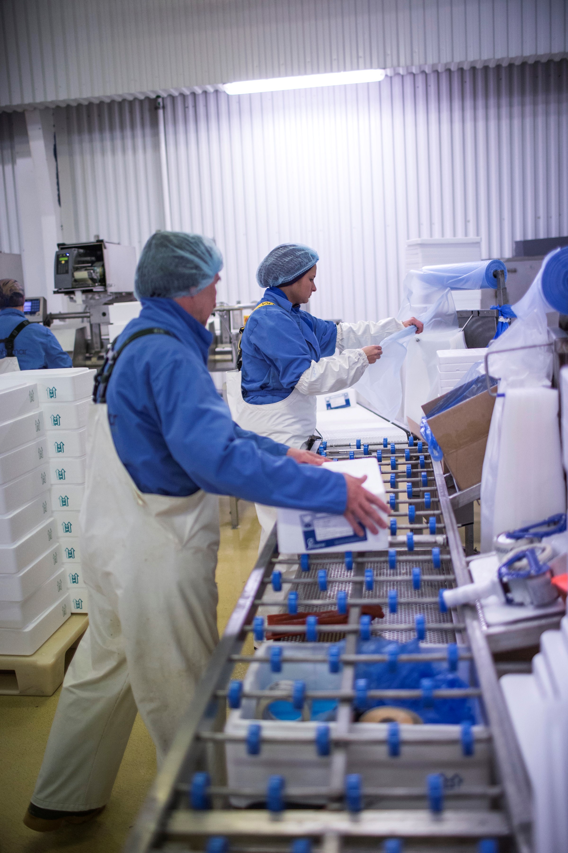fish processing plant packing and labeling