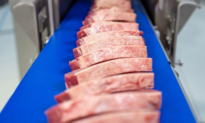 TREIF PUMA fresh and low temperature cutter