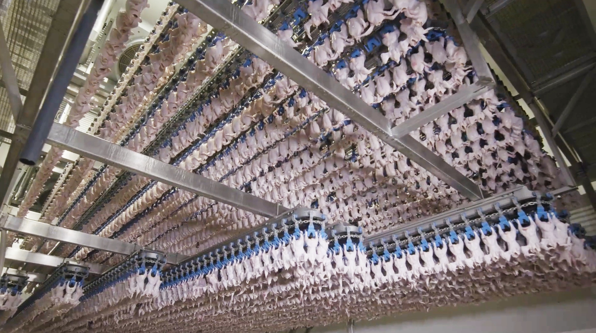 Air Chilling 3000 Bph