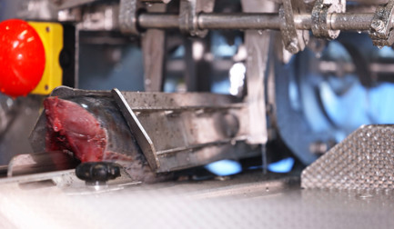 Transforming tuna processing