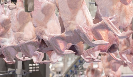 “We shaped the building around the process”