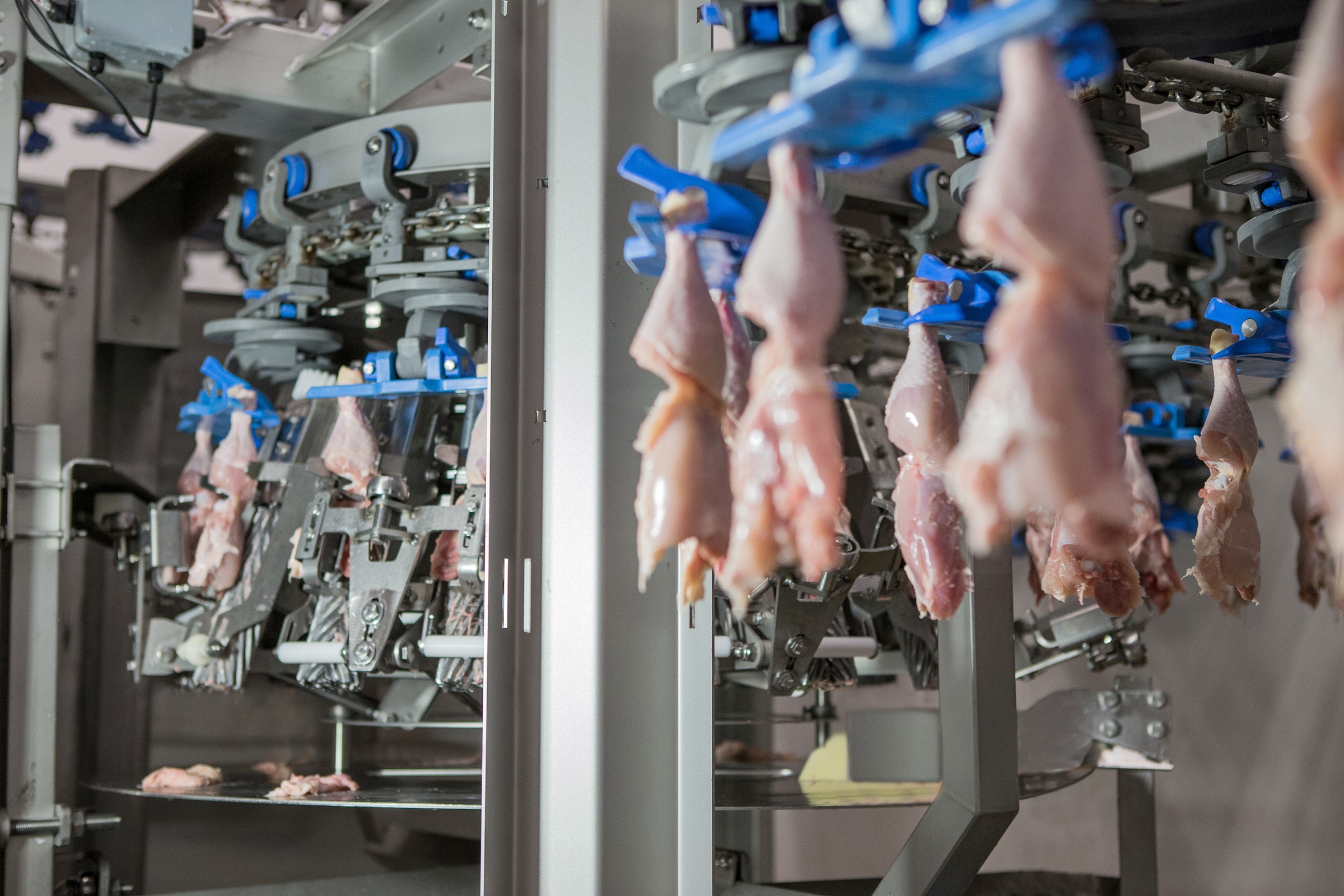 Poultry processing products and solutions