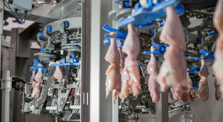 Poultry processing products and solutions