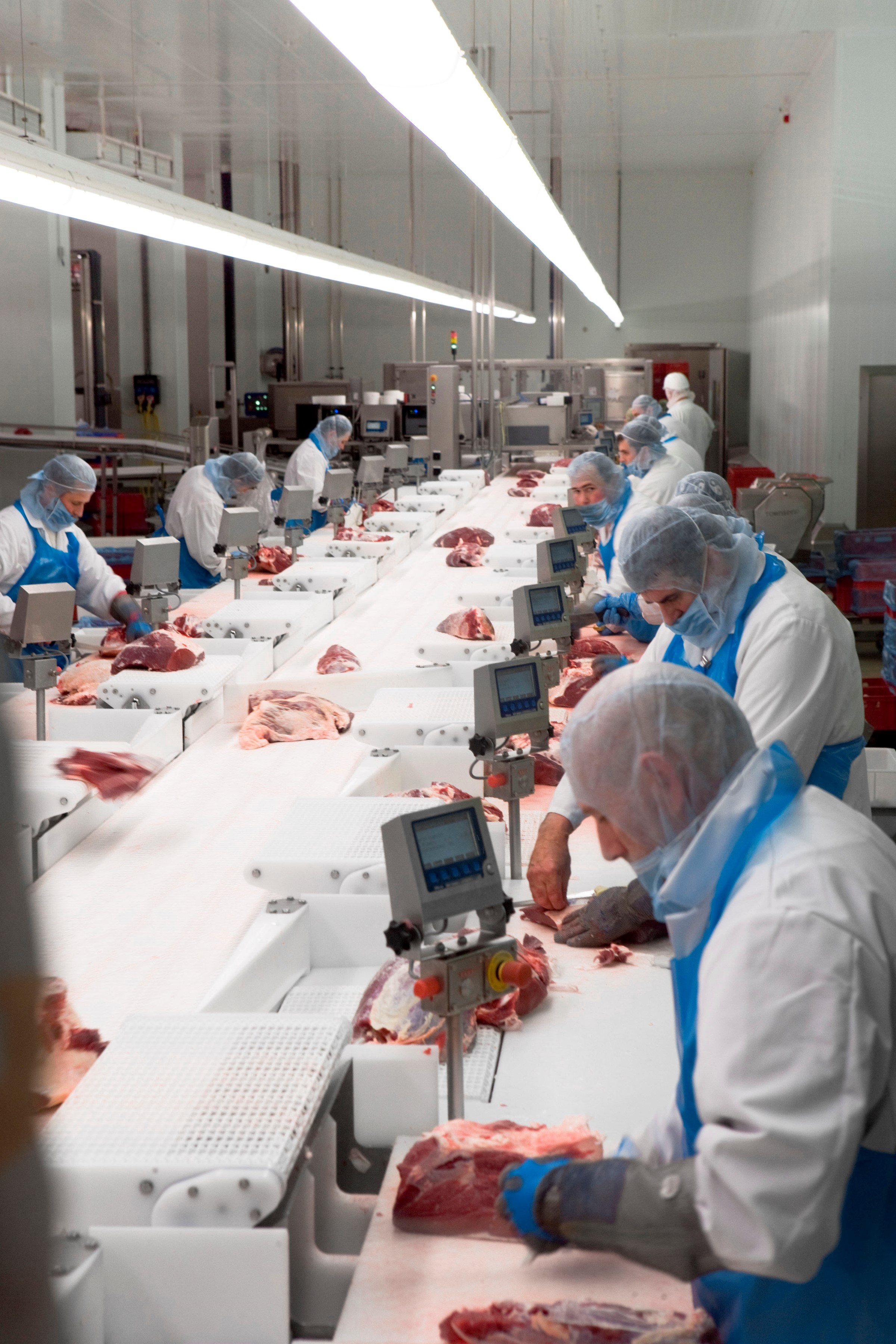 Meat production line
