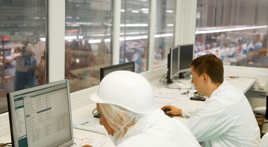 Employees looking at computer