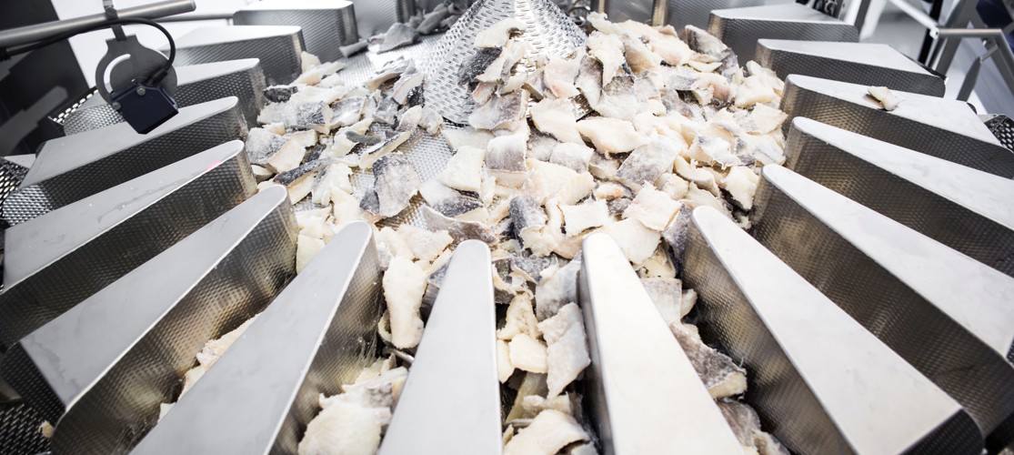 Multihead Weigher Salted Cod