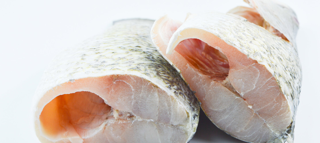 Barramundi Processing