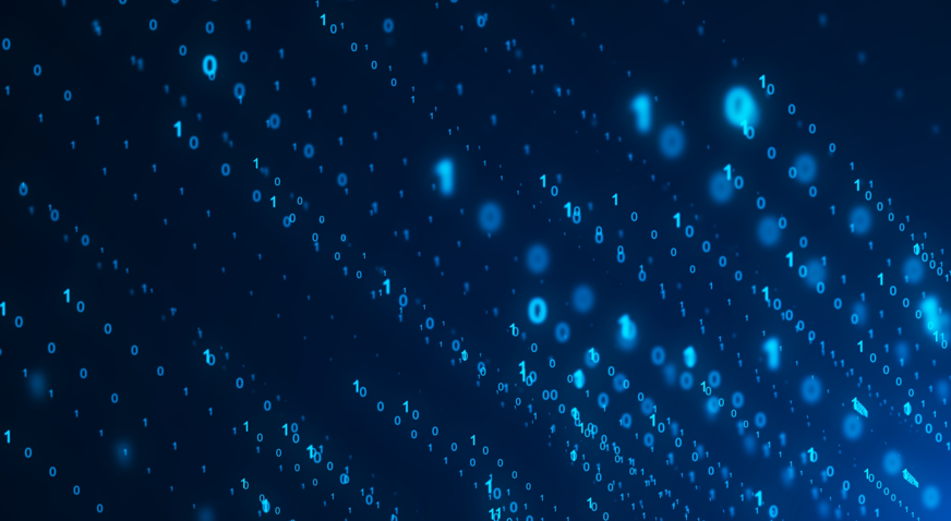 Fish Cyber Security 3